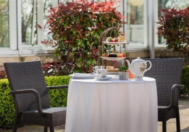 Topiary in the Park: Where Culinary Excellence Meets Elegant Dining sidebar image